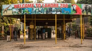 Lahore zoo ticket price and learn all about this place